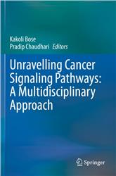 Cover Unravelling Cancer Signaling Pathways: A Multidisciplinary Approach