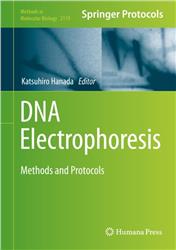 Cover DNA Electrophoresis