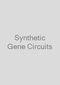 Synthetic Gene Circuits