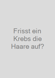 Cover Frisst ein Krebs die Haare auf?