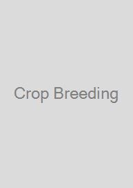 Cover Crop Breeding