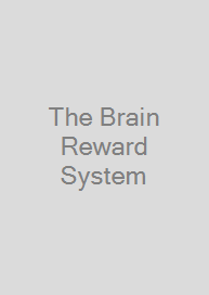 Cover The Brain Reward System