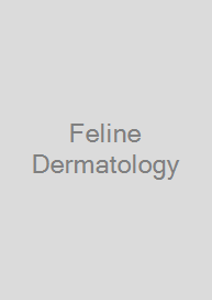 Cover Feline Dermatology