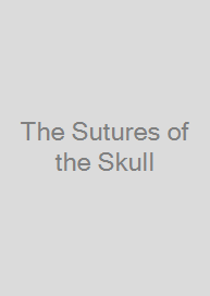 The Sutures of the Skull