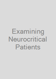 Cover Examining Neurocritical Patients