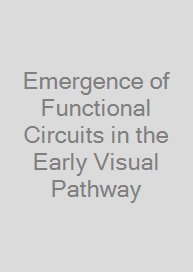 Cover Emergence of Functional Circuits in the Early Visual Pathway