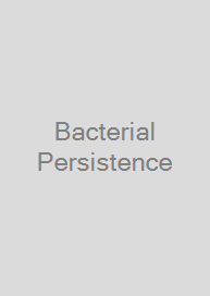 Bacterial Persistence