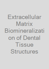 Extracellular Matrix Biomineralization of Dental Tissue Structures