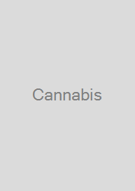 Cannabis