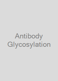 Antibody Glycosylation