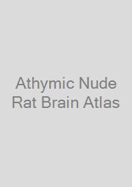 Cover Athymic Nude Rat Brain Atlas