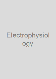 Electrophysiology