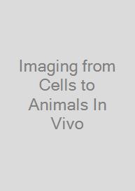 Cover Imaging from Cells to Animals In Vivo