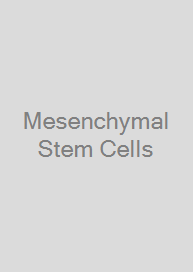 Mesenchymal Stem Cells