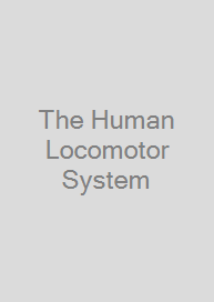 Cover The Human Locomotor System
