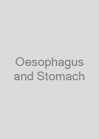 Cover Oesophagus and Stomach