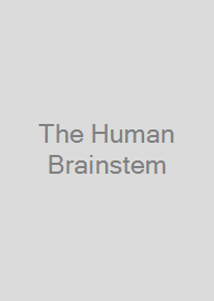 Cover The Human Brainstem