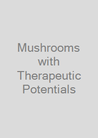 Cover Mushrooms with Therapeutic Potentials