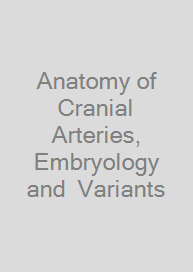 Cover Anatomy of Cranial Arteries, Embryology and  Variants