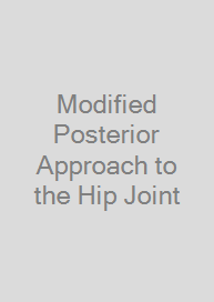 Modified Posterior Approach to the Hip Joint