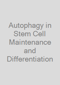Autophagy in Stem Cell Maintenance and Differentiation