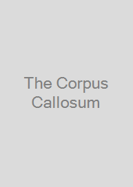 Cover The Corpus Callosum