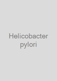 Cover Helicobacter pylori