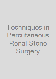 Techniques in Percutaneous Renal Stone Surgery