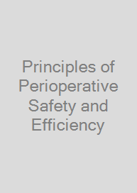 Principles of Perioperative Safety and Efficiency