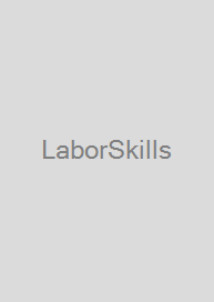 Cover LaborSkills