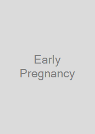 Early Pregnancy