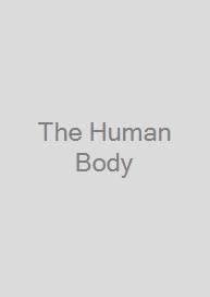 Cover The Human Body