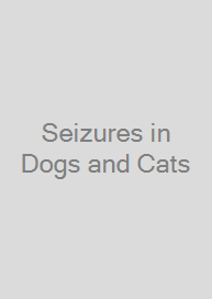 Cover Seizures in Dogs and Cats