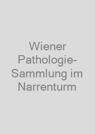 Cover Wiener Pathologie-Sammlung im Narrenturm