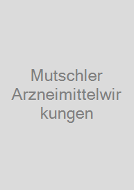 Cover Mutschler Arzneimittelwirkungen